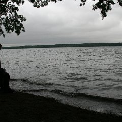 IMG 0460
