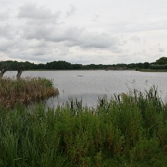 IMG 0466