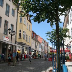 IMG 0494