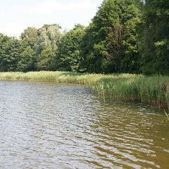 IMG 0565