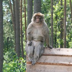 IMG 0568