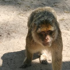 IMG 0570
