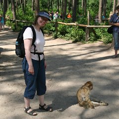 IMG 0584