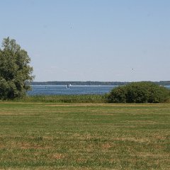 IMG 0729