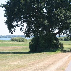 IMG 0736