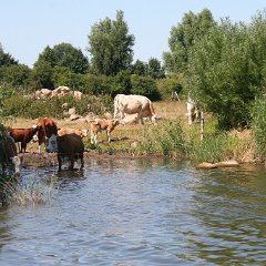IMG 0739
