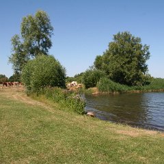 IMG 0748