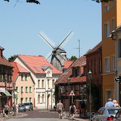IMG 0789