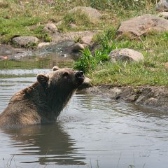 IMG 0834